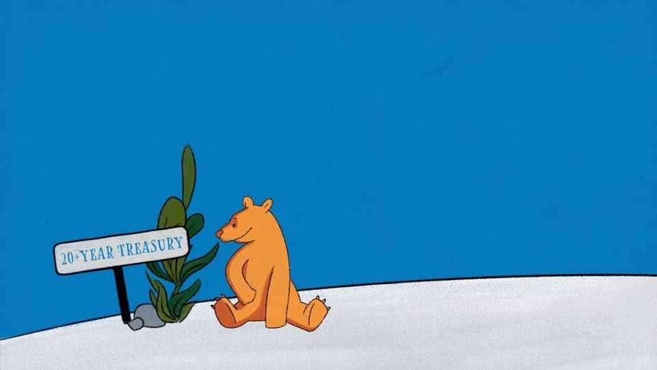 Learn About the Direxion Treasury Bull &amp; Bear 3X ETFs - $TMF $TMV